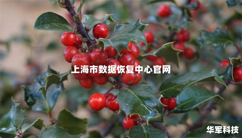 上海市数据恢复中心提供专业的数据恢复服务，解决您在数据丢失、误删等问题上的困扰。