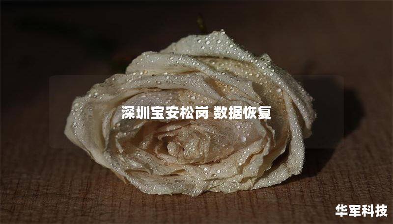 在深圳宝安松岗提供专业的数据恢复服务，帮助您解决各种数据丢失问题。了解数据恢复的流程及真实案例，让您的数据安全无忧。