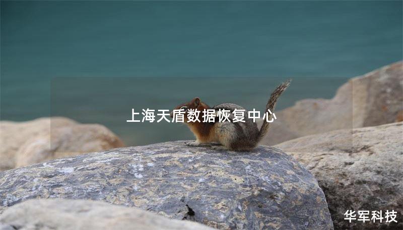 上海天盾数据恢复中心提供专业的数据恢复服务，解决各种数据丢失问题。了解我们的服务流程、真实案例和常见问题解答。