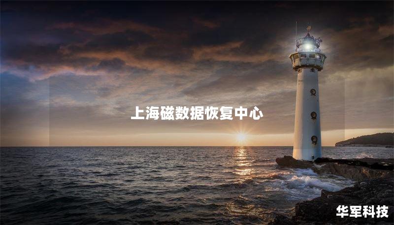 上海磁数据恢复中心：专业数据恢复服务