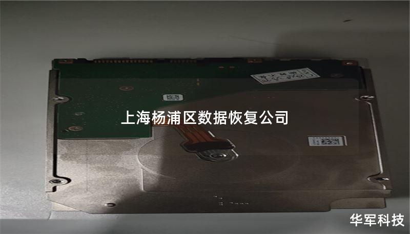 上海杨浦区数据恢复公司 - 专业数据恢复服务