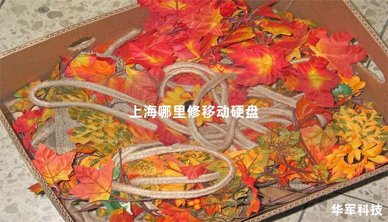 上海哪里修移动硬盘