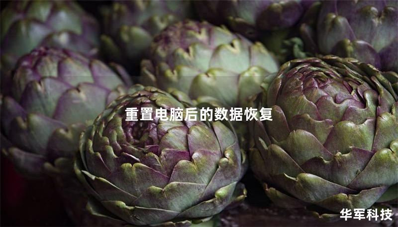 本文将详细介绍重置电脑后如何进行数据恢复，包括常见问题和操作步骤，帮助您找回丢失的数据。
