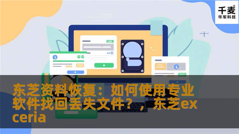 东芝资料恢复：如何使用专业软件找回丢失文件？，东芝exceria