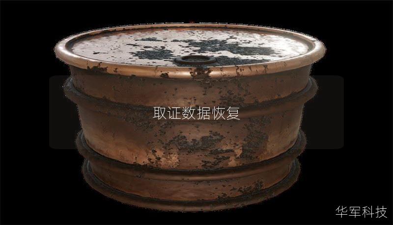 本文详细介绍了数据恢复的相关知识，包括取证数据恢复的操作方法、真实案例分析及用户常见问题解答，帮助用户高效恢复丢失的数据。