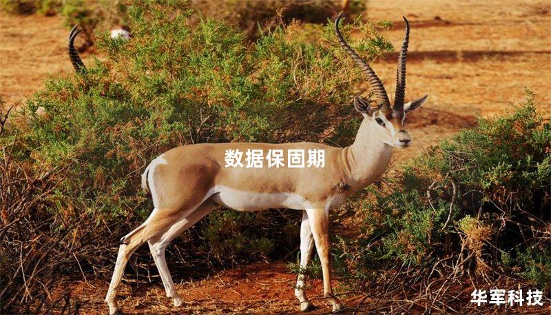 本文探讨数据保固期的概念，提供有效的管理与延长数据使用寿命的方法，并分享真实案例分析。