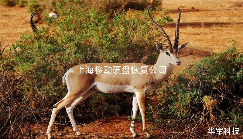 专业的上海移动硬盘数据恢复服务，提供详细的故障分析和恢复教程，帮助您找回重要数据。