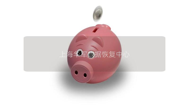 上海技王数据恢复中心：专业数据恢复服务