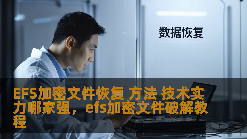 EFS加密文件恢复 方法 技术实力哪家强，efs加密文件破解教程