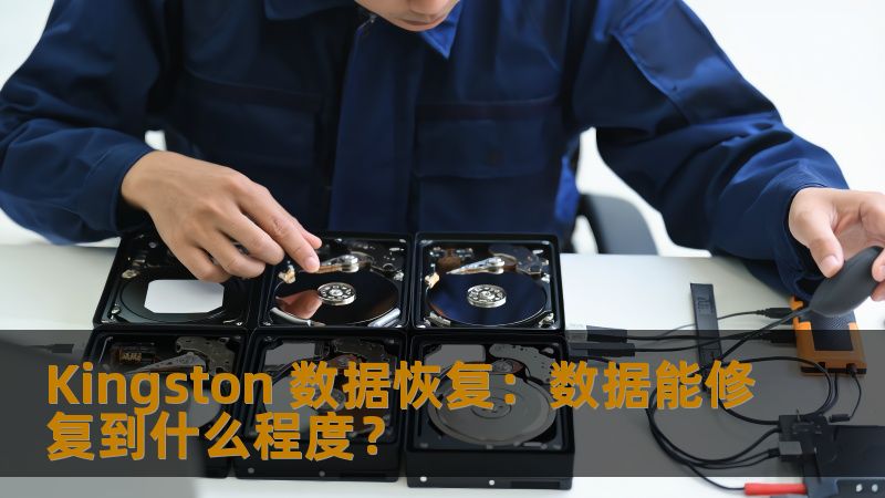 深入分析 Kingston 数据恢复的修复能力及其能恢复的数据范围，提供实用的操作步骤和真实案例。
