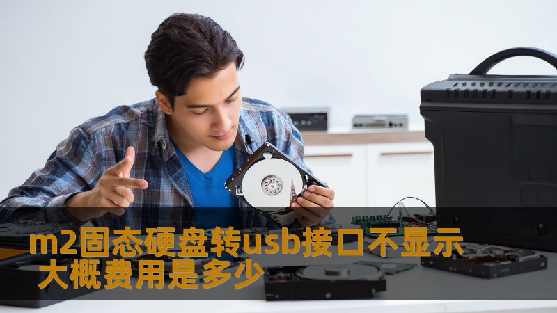 m2固态硬盘转usb接口不显示的问题，详细分析故障原因及解决方法，了解大概费用，助您快速恢复数据。