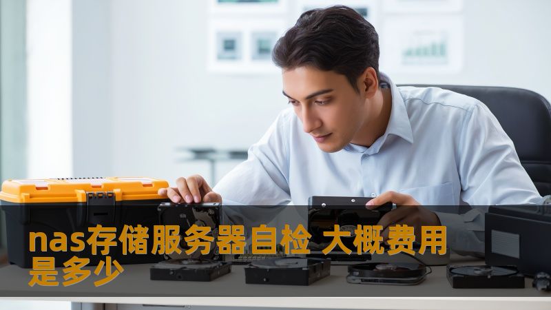 nas存储服务器自检 大概费用是多少