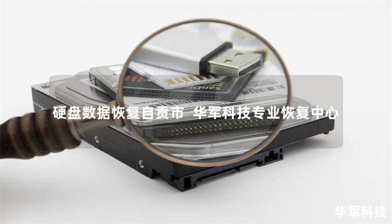 自贡市专业硬盘数据恢复服务，技王提供硬盘物理损坏、误删除、病毒攻击等全场景恢复方案，覆盖全国9城直营，紧急情况可拨打400-675-9388免费咨询。