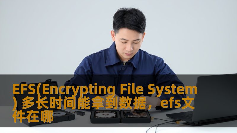 EFS(Encrypting File System) 多长时间能拿到数据，efs文件在哪