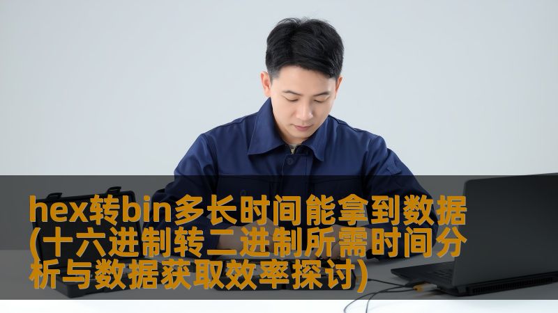hex转bin多长时间能拿到数据(十六进制转二进制所需时间分析与数据获取效率探讨)