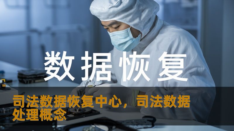 司法数据恢复中心，司法数据处理概念