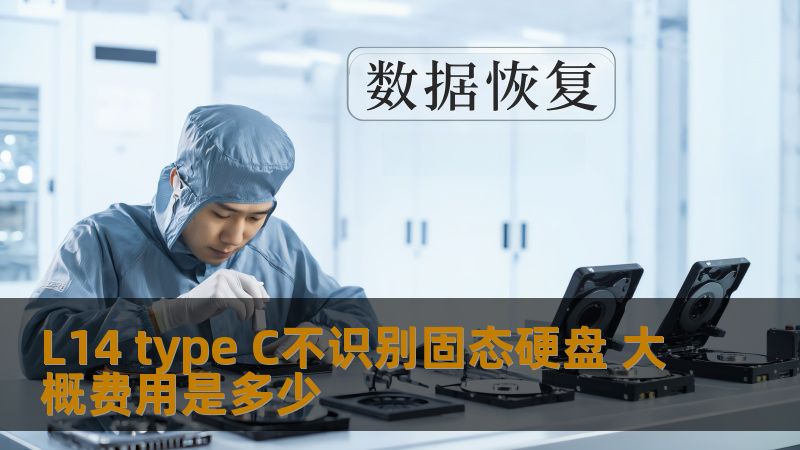 L14 type C不识别固态硬盘 大概费用是多少