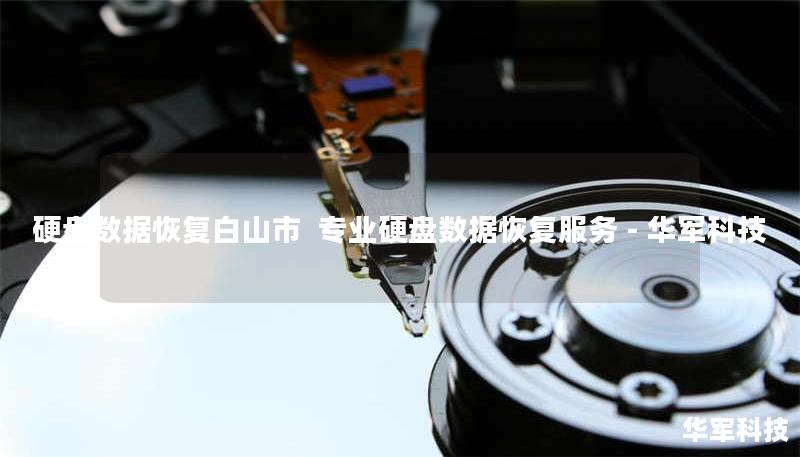硬盘数据恢复白山市  专业硬盘数据恢复服务 - 技王