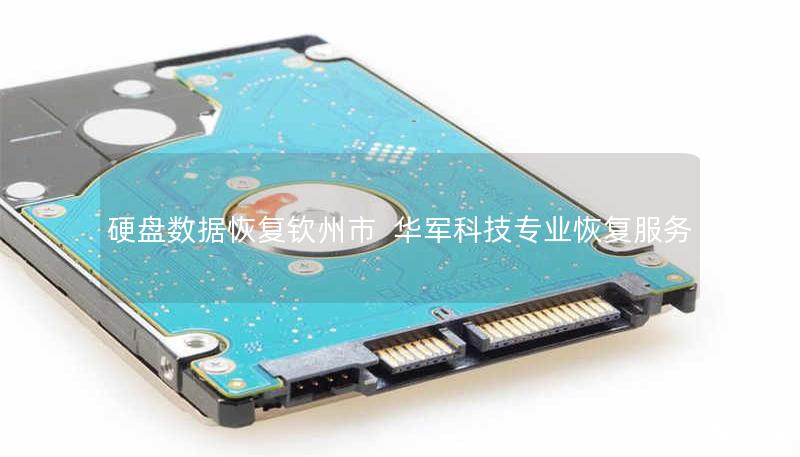 硬盘数据恢复钦州市 | 技王专业恢复服务