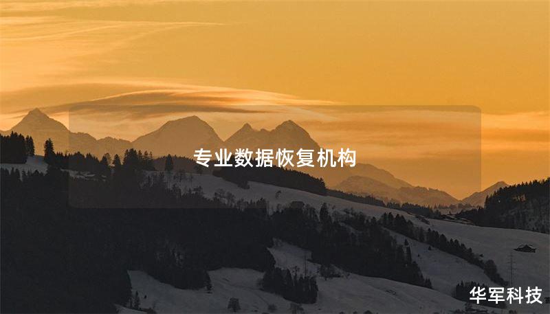 专业数据恢复机构