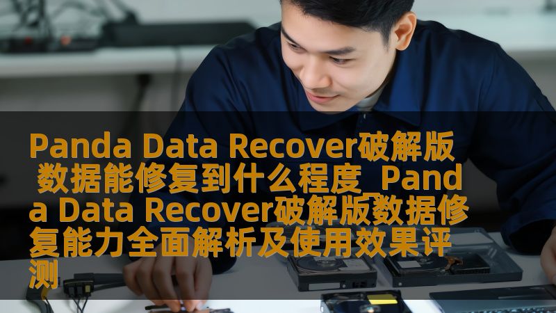 Panda Data Recover破解版 数据能修复到什么程度_Panda Data Recover破解版数据修复能力全面解析及使用效果评测