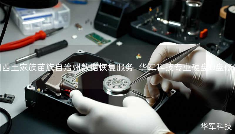 湘西土家族苗族自治州数据恢复服务 | 技王专业硬盘/U盘修复