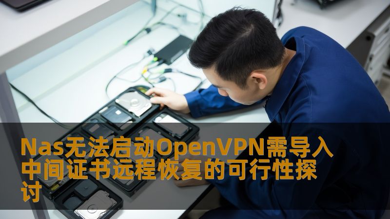 Nas无法启动OpenVPN需导入中间证书远程恢复的可行性探讨 Nas无法启动OpenVPN需导入中间证书远程恢复的可行性探讨