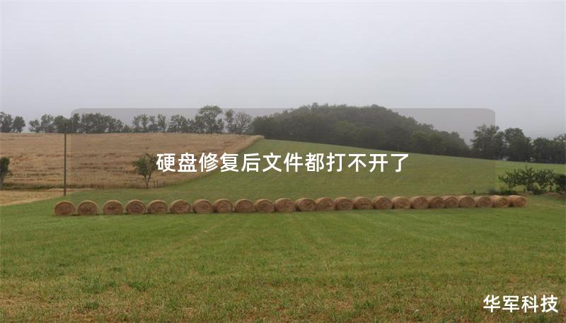 硬盘修复后文件打不开的解决方案