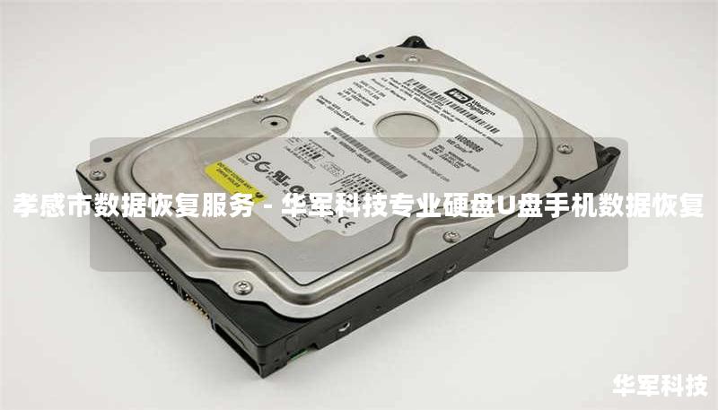 孝感市数据恢复服务 - 技王专业硬盘U盘手机数据恢复