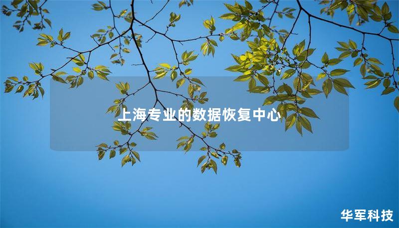 上海专业的数据恢复中心