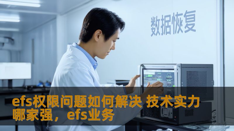 efs权限问题如何解决 技术实力哪家强，efs业务