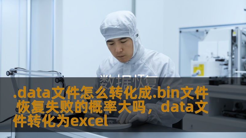.data文件怎么转化成.bin文件 恢复失败的概率大吗，data文件转化为excel