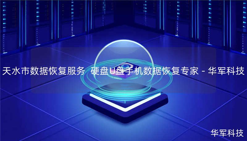 天水市数据恢复服务 | 硬盘/U盘/手机数据恢复专家 - 技王