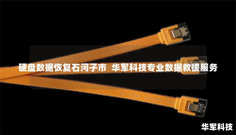 硬盘数据恢复石河子市  技王专业数据救援服务