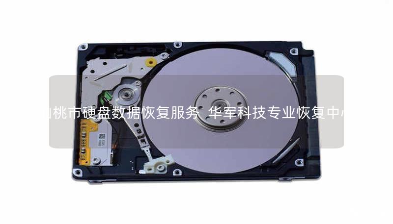 仙桃市硬盘数据恢复服务 | 技王专业恢复中心
