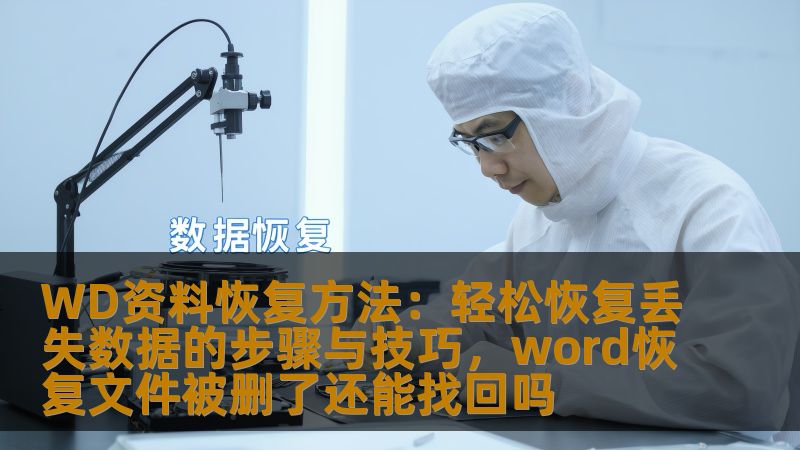 WD资料恢复方法：轻松恢复丢失数据的步骤与技巧，word恢复文件被删了还能找回吗