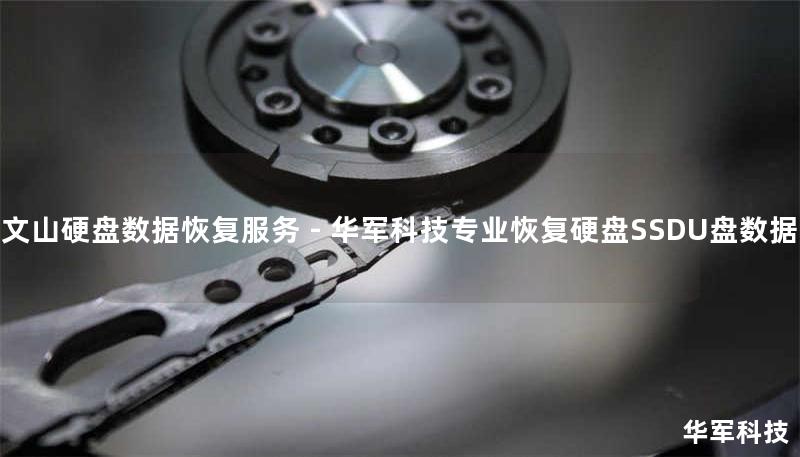 文山专业硬盘数据恢复服务！技王提供硬盘/SSD/RAID数据恢复，覆盖北京上海等9城直营。真实案例：2TB希捷硬盘开盘恢复成功率98%，免费咨询400-675-9388