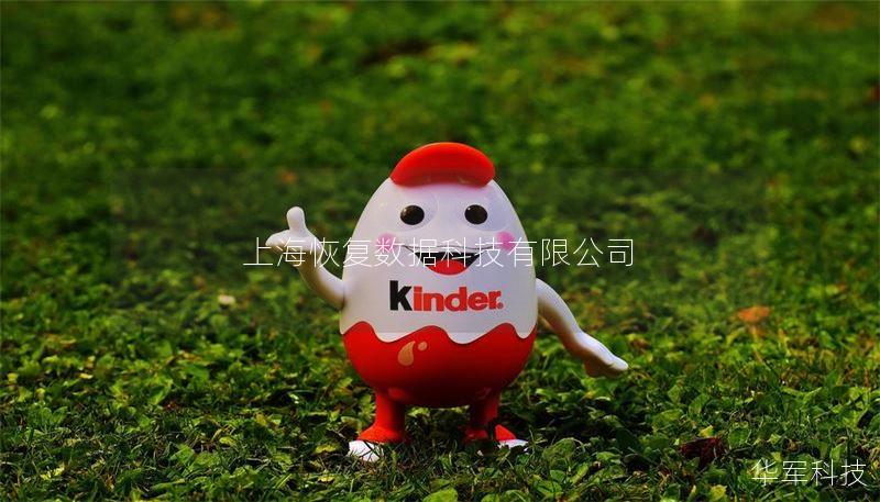 本文将介绍数据恢复的有效方法，分享真实案例，解答用户常见问题，帮助您轻松应对数据丢失的困扰。