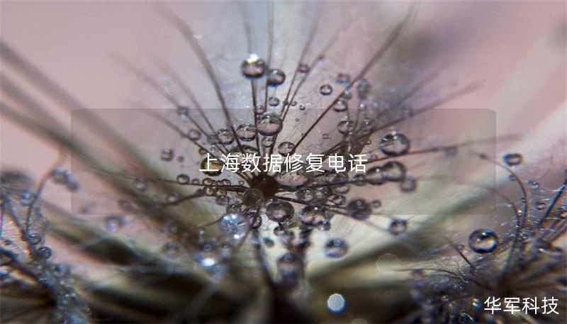 本文详细介绍上海数据修复电话的相关信息，提供专业的数据恢复服务指南，帮助用户解决数据丢失问题。