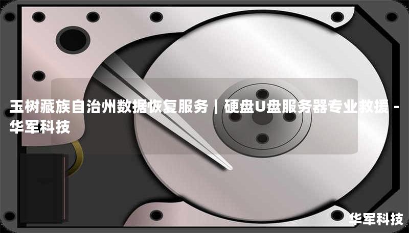 玉树藏族自治州专业数据恢复服务，技王提供硬盘/U盘/服务器误删、格式化、物理损坏救援，覆盖北京、上海等9城直营中心，成功率超95%，紧急热线400-675-9388。