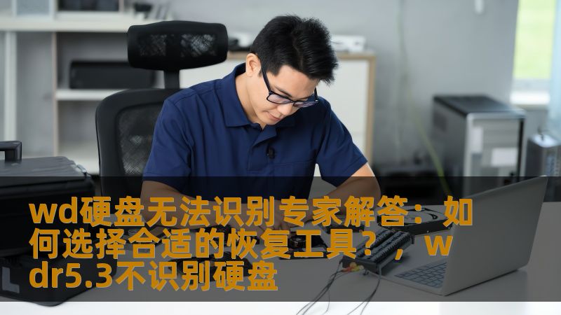 WD硬盘无法识别怎么办？本文将为您提供一系列专家建议，帮助您选择合适的数据恢复工具，并详细解读不同工具的使用场景和特点。无论您是普通用户还是技术高手，都能从中获益，恢复丢失的数据。