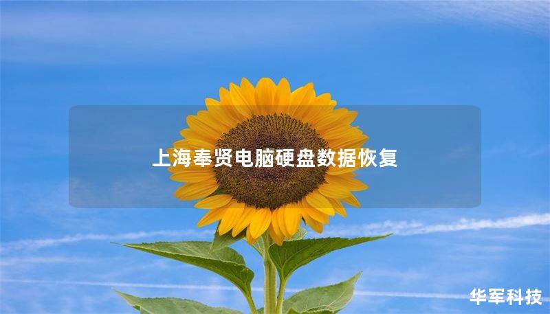 在上海奉贤，我们提供专业的电脑硬盘数据恢复服务，帮助您找回丢失的数据。了解常见故障、恢复方法及真实案例，助您快速解决数据丢失问题。