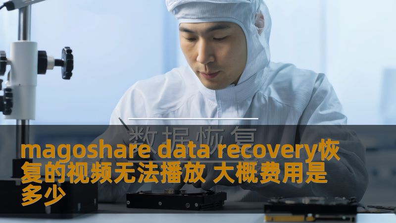 magoshare data recovery恢复的视频无法播放 大概费用是多少