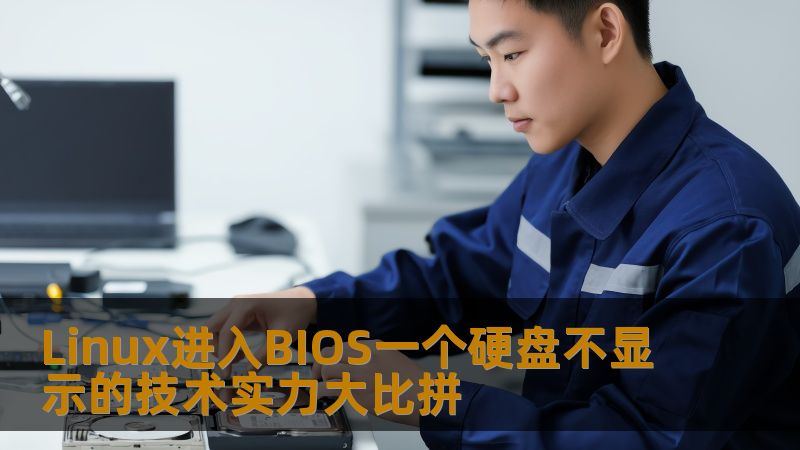 Linux进入BIOS一个硬盘不显示的技术实力大比拼