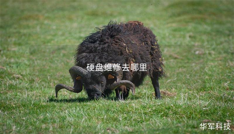 硬盘维修服务：解决数据丢失的最佳选择