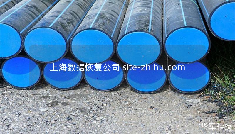 上海数据恢复公司 site-zhihu.com