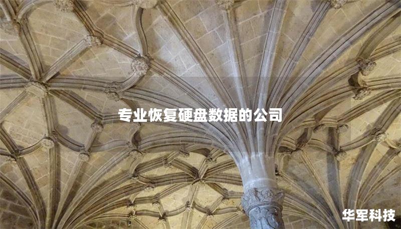 我们提供专业的硬盘数据恢复服务，帮助您恢复丢失的数据。无论是硬盘故障还是误删除，我们都有解决方案。