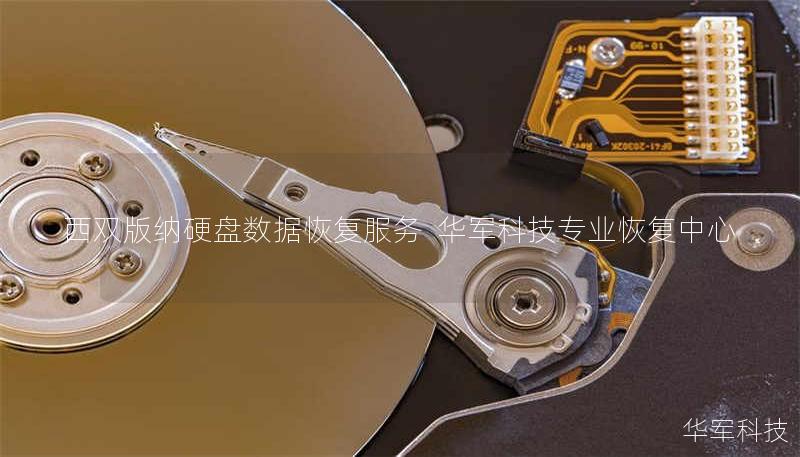 西双版纳专业硬盘数据恢复服务，技王提供硬盘/服务器/U盘数据抢救，覆盖物理损坏、误删格式化等场景，免费检测热线400-675-9388。