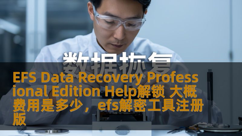 本文将详细介绍EFSDataRecoveryProfessionalEditionHelp解锁的过程，以及相关费用的估算。随着数据丢失的风险越来越高，数据恢复软件成为了现代生活中不可或缺的工具，而EFSDataRecoveryProfessionalEdition为数据恢复提供了专业的解决方案。文章中将帮助用户了解如何通过该软件恢复丢失的数据，并且分析相关的费用情况。