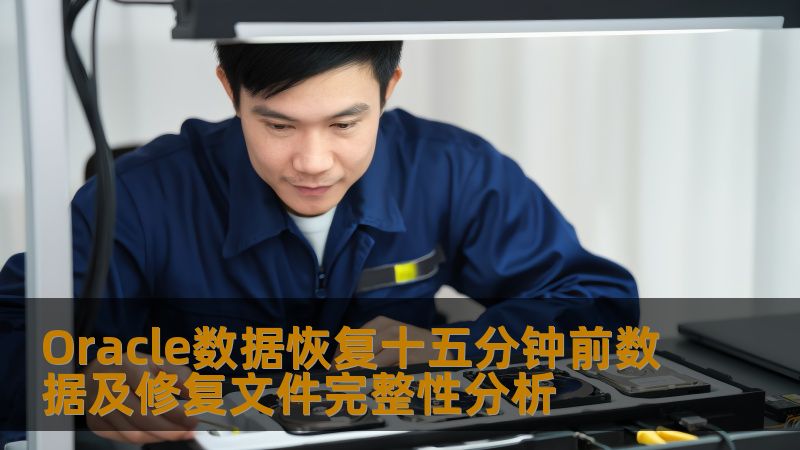 本文深入探讨Oracle数据恢复十五分钟前数据及修复文件完整性分析，帮助用户解决数据丢失问题。